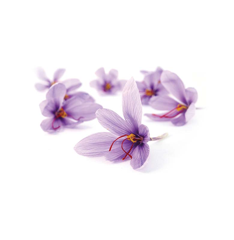 fiori di zafferano