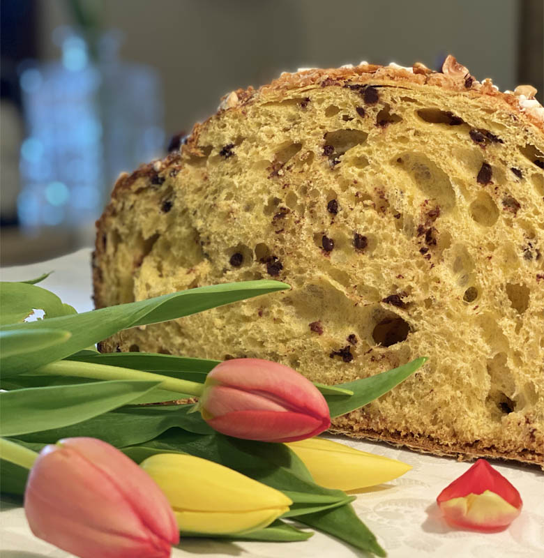 colomba al cioccolato