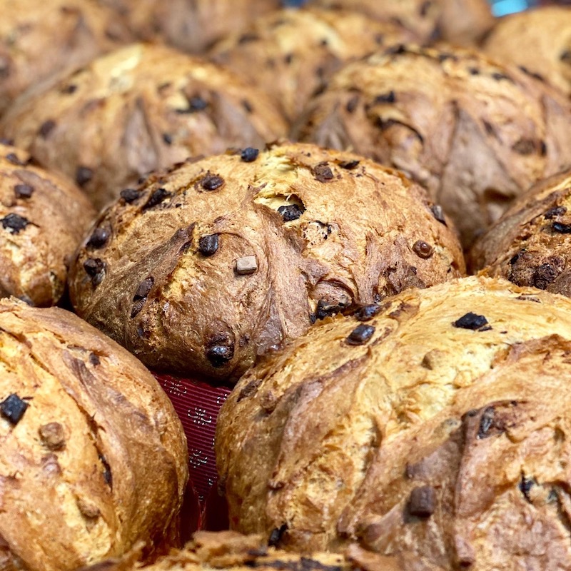 panettone 3 cioccolati
