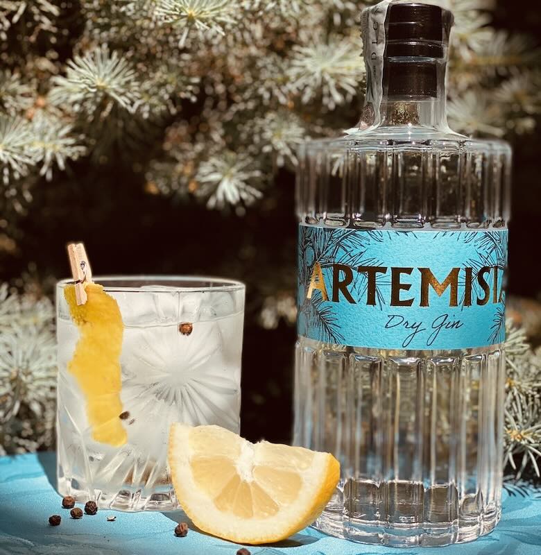 foto gin